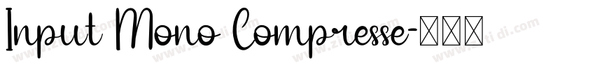 Input Mono Compresse字体转换